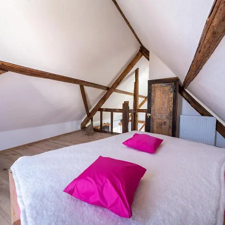 Comfy In With Terrace Roes
